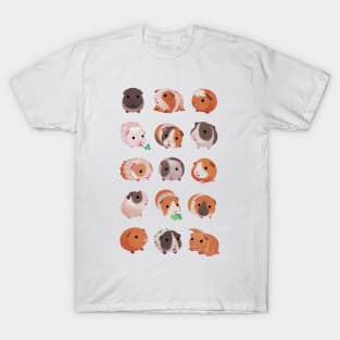 Guinea pig day T-Shirt